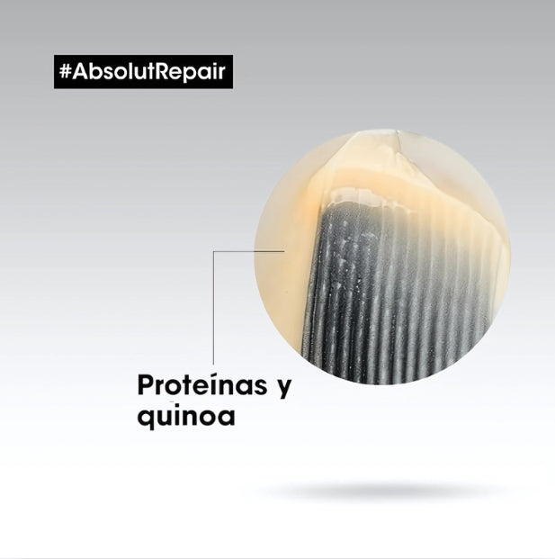Shampoo L'Oreal Abslut Repair Protein + Gold Quinoa 300ml